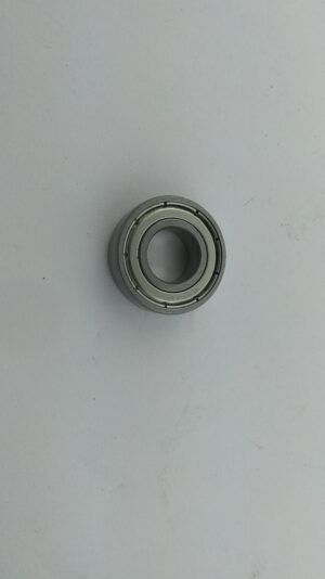 Bearing 61900