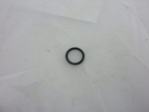 O-ring