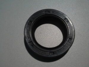 Shaft seal/seal ring